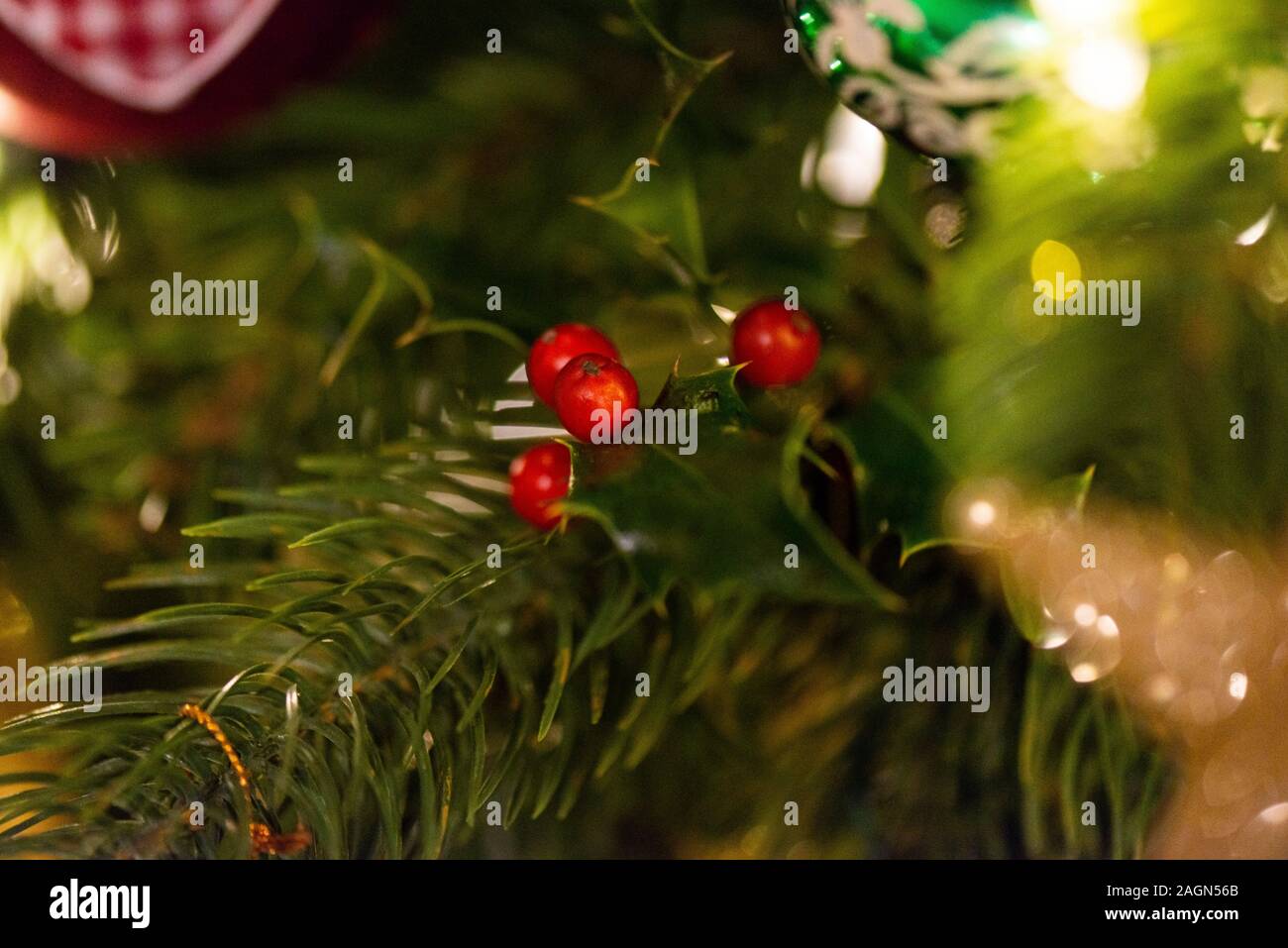 A sprig of holly used to decorate an artificial Christmas tree Stock