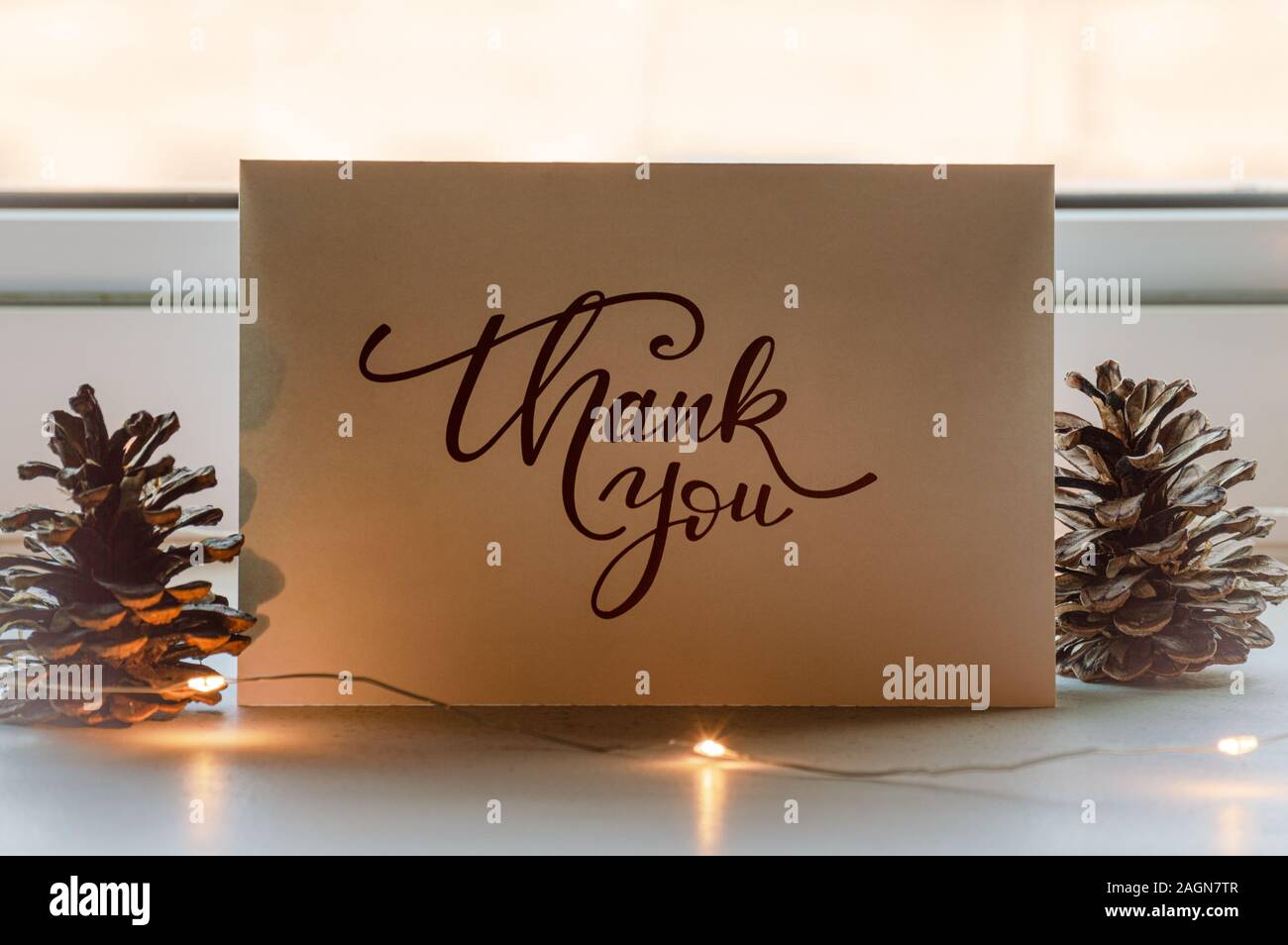 A thank you greeting card with pine cones and fairy lights is placed near a window. Stock Photo