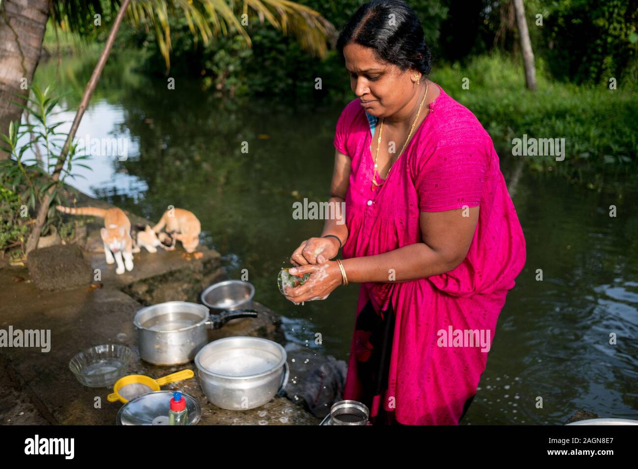 Alleppey, India - 22 september 2019: adult indian woman doing daily chores in rural india washing dishes by the river with traditional colorful sari a Stock Photo