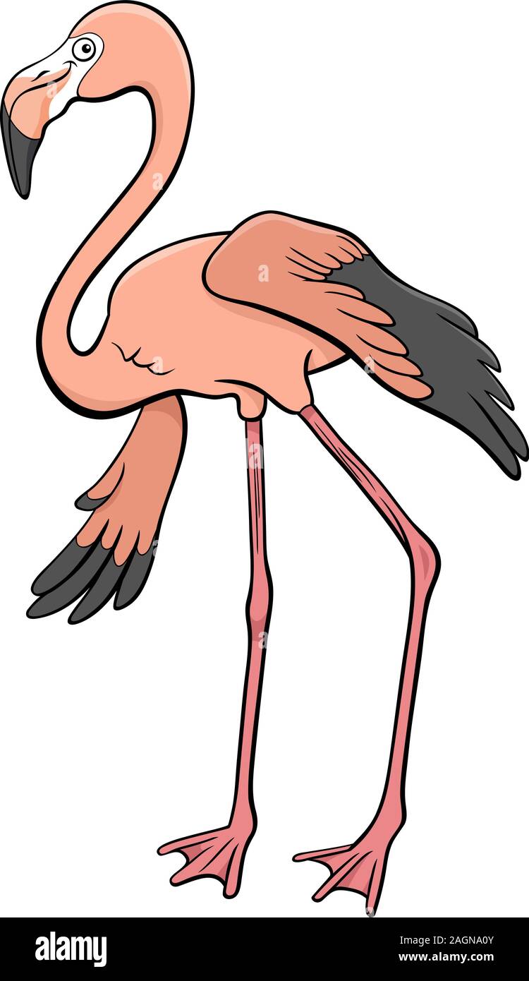 Cartoon Illustration of Funny Flamingo Bird Animal Character Stock Vector