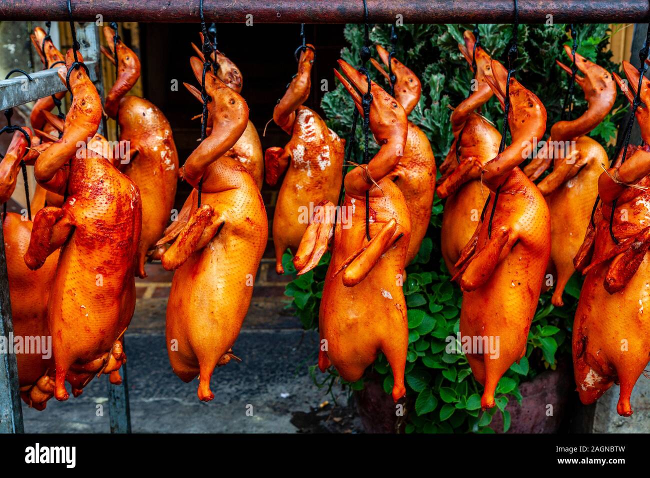 Cooked Ducks Hanging From A Rack In The Street, Phnom Penh, Cambodia. Stock Photo
