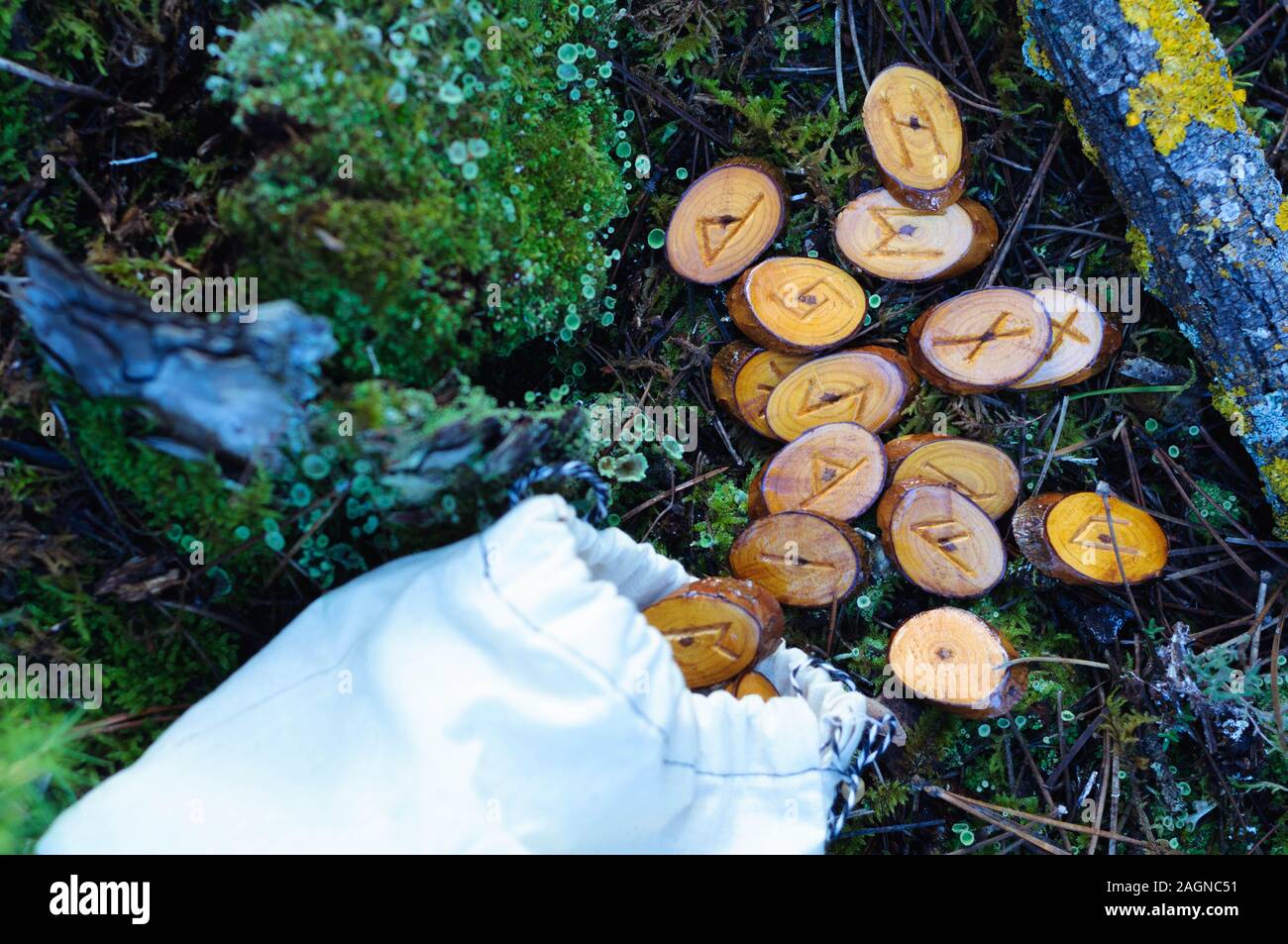 wooden homemade runes scattered on the green grass, moss Stock Photo ...