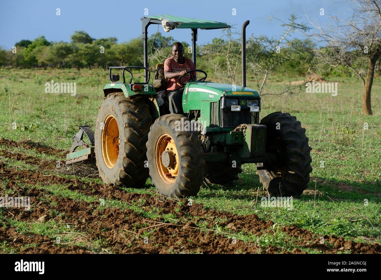 ZAMBIA, Mazabuka, medium scale farmer practise conservation farming, ripping furrows with John deere Tractor to sow cotton seeds, ripping protects the soil instead of ploughing Stock Photo
