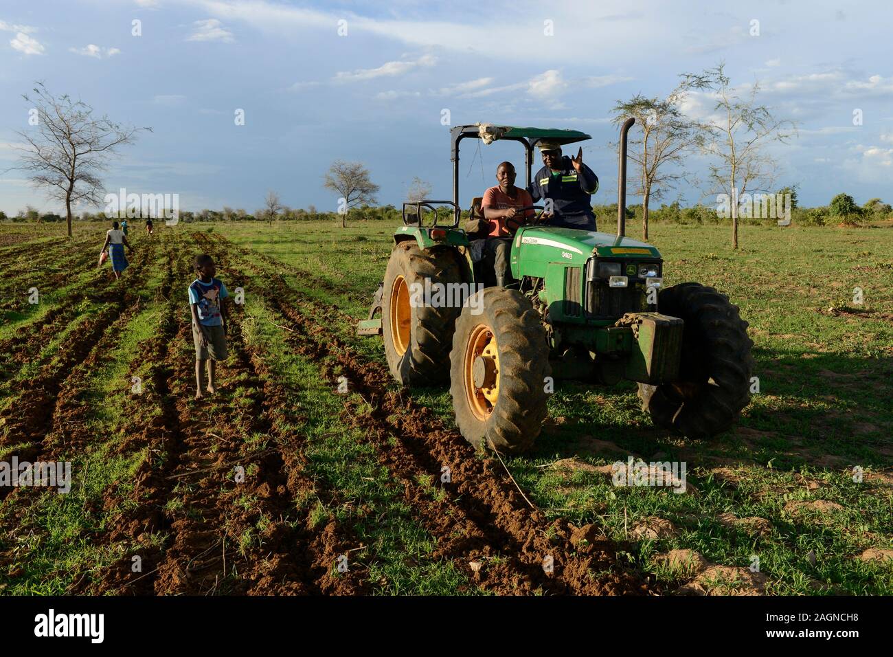 ZAMBIA, Mazabuka, medium scale farmer practise conservation farming ...