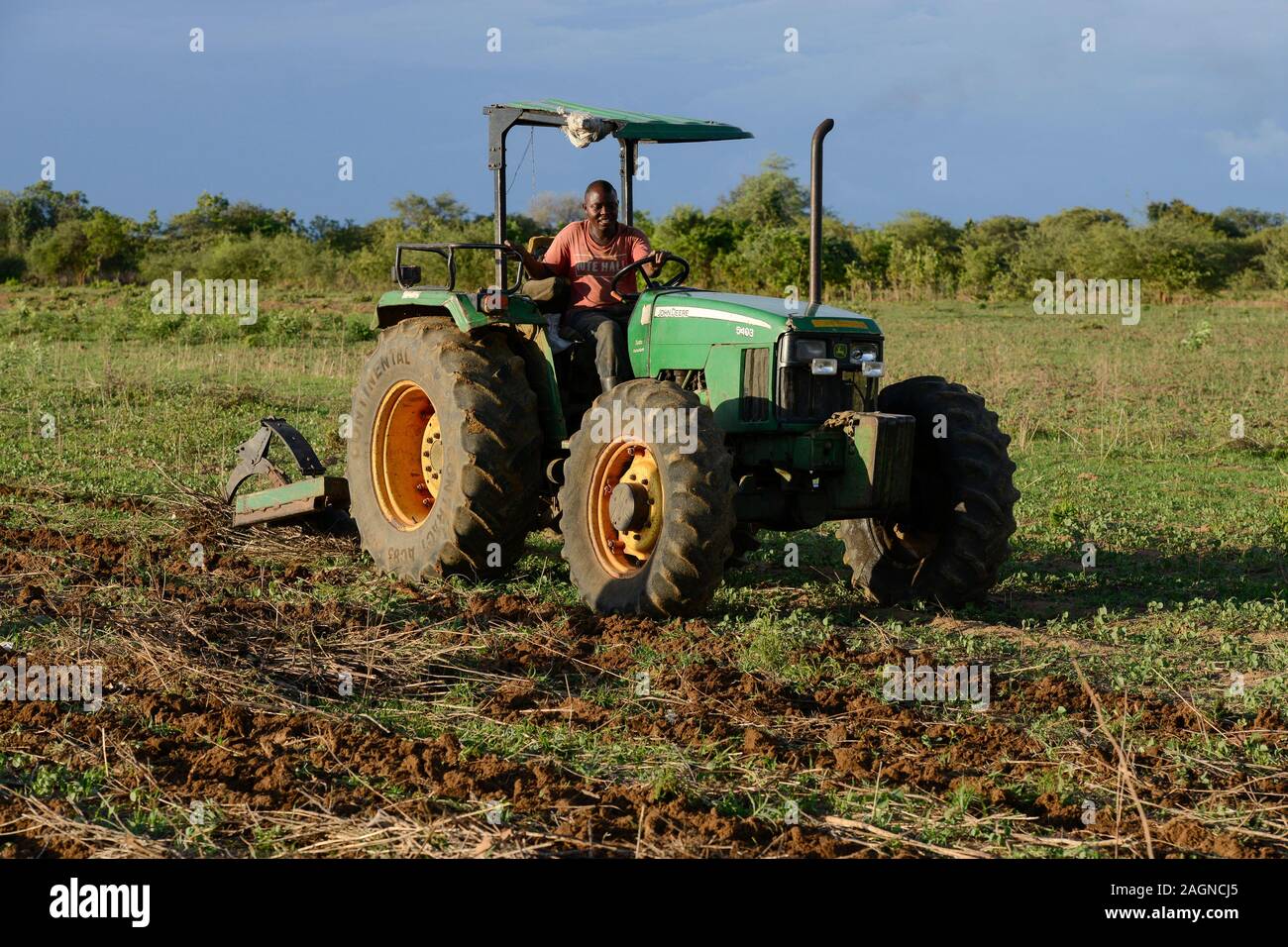 ZAMBIA, Mazabuka, medium scale farmer practise conservation farming