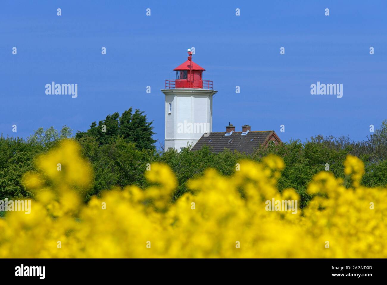 Leuchtturm Westermarkelsdorf lighthouse / Leuchtfeuer am Hakenorth on the island Fehmarn in the Baltic Sea, Ostholstein, Schleswig-Holstein, Germany Stock Photo