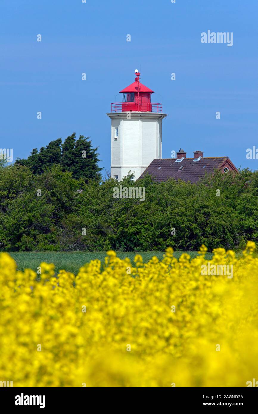 Leuchtturm Westermarkelsdorf lighthouse / Leuchtfeuer am Hakenorth