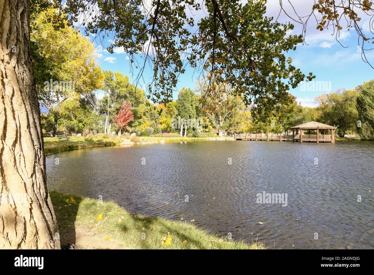 display of fall colors at a local park in Bishop, California on a peaceful day. Stock Photo