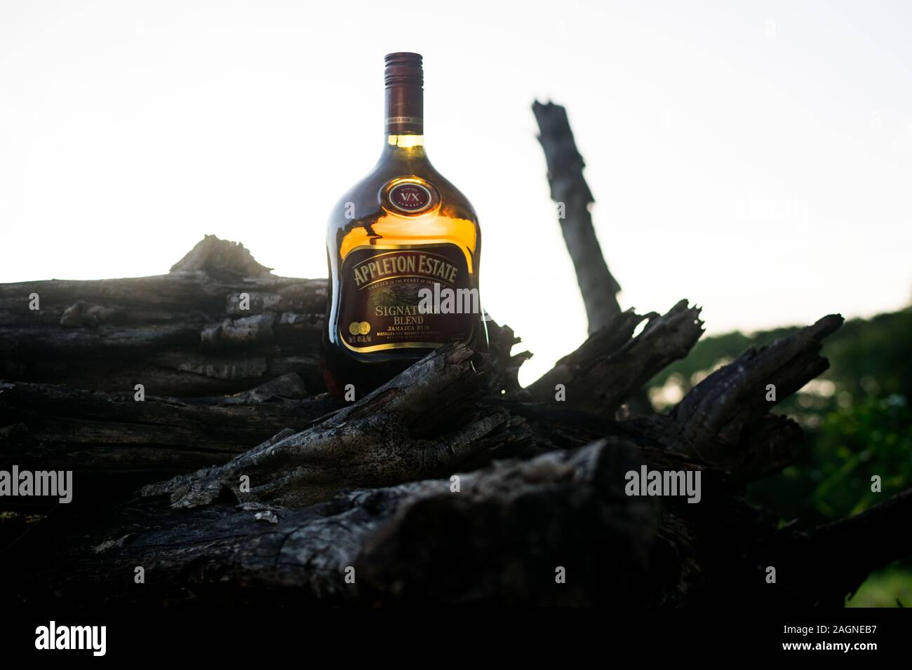 APPLETON ESTATE, JAMAICA - Jul 05, 2019: Bottle of APPLETON ESTATE SIGNATURE BLEND, Jamaica Rum Signature Blend is the new name for Appleton's VX Stock Photo