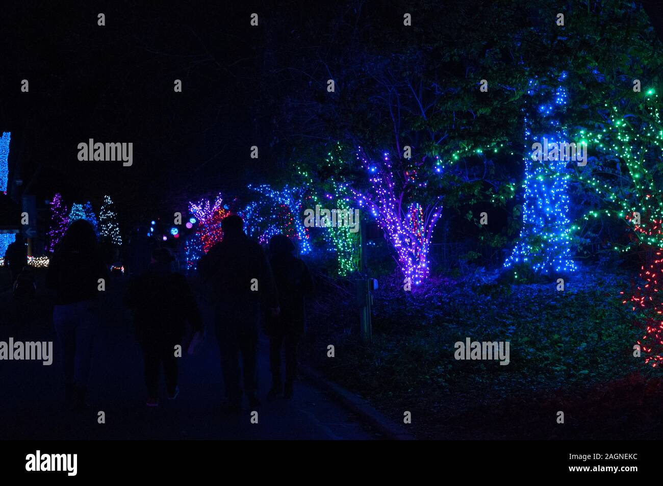 Christmas lights at Detroit Zoo 11/24/2017 Stock Photo Alamy