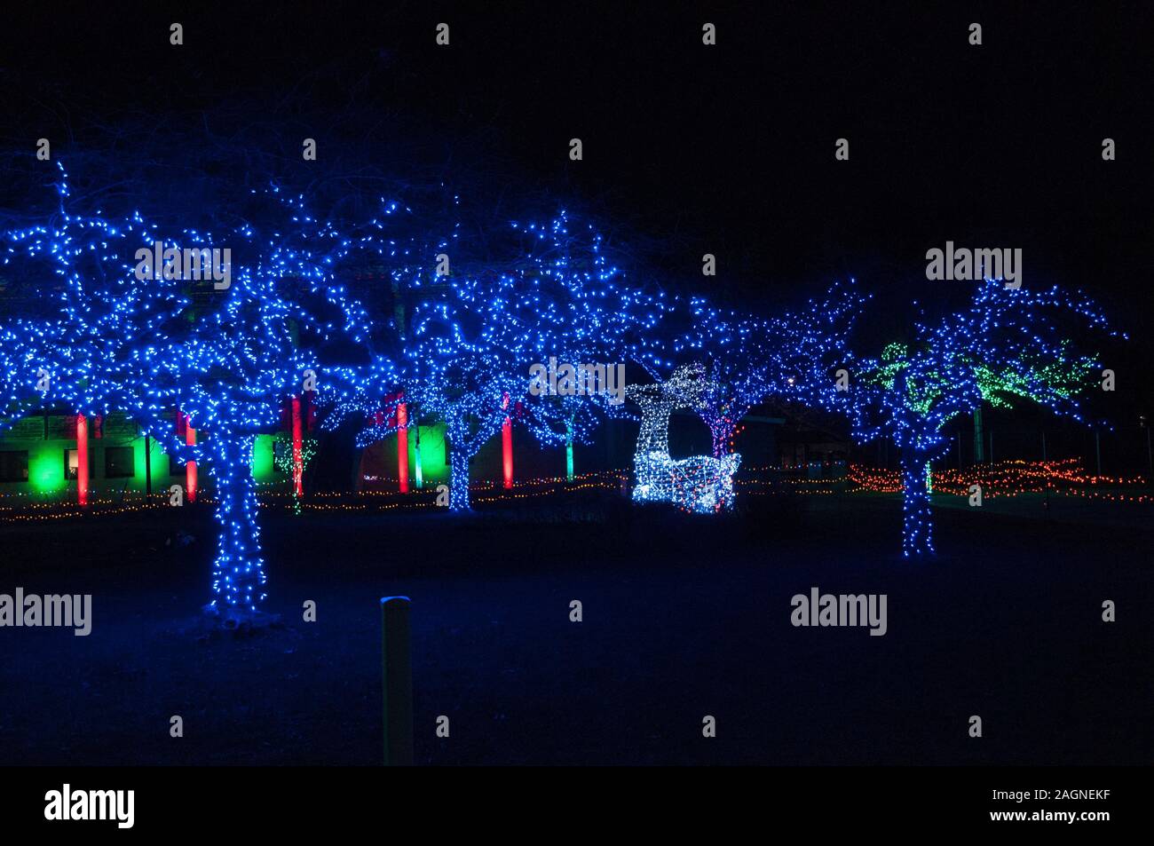 Christmas lights at Detroit Zoo 11/24/2017 Stock Photo Alamy