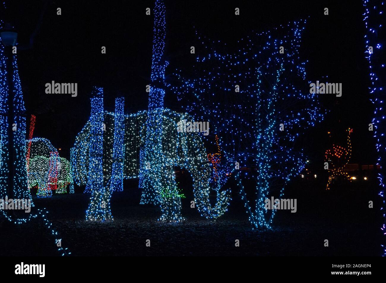 Christmas lights at Detroit Zoo 11/24/2017 Stock Photo Alamy