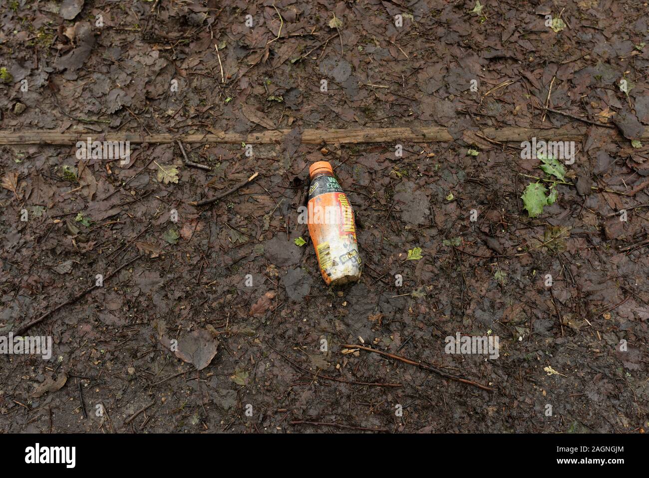 Plastic bottle thrown away on rotting leaves in countryside in burrs country park in bury lancashire uk Stock Photo