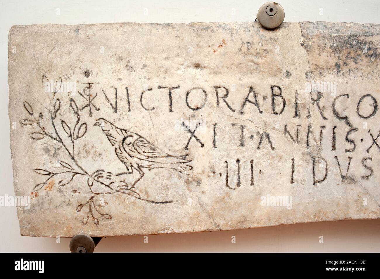 Italy, Rome, Diocletian Baths, National Roman Museum, funerary early christian inscription of Victoria with dove and branch (4th century AD) Stock Photo