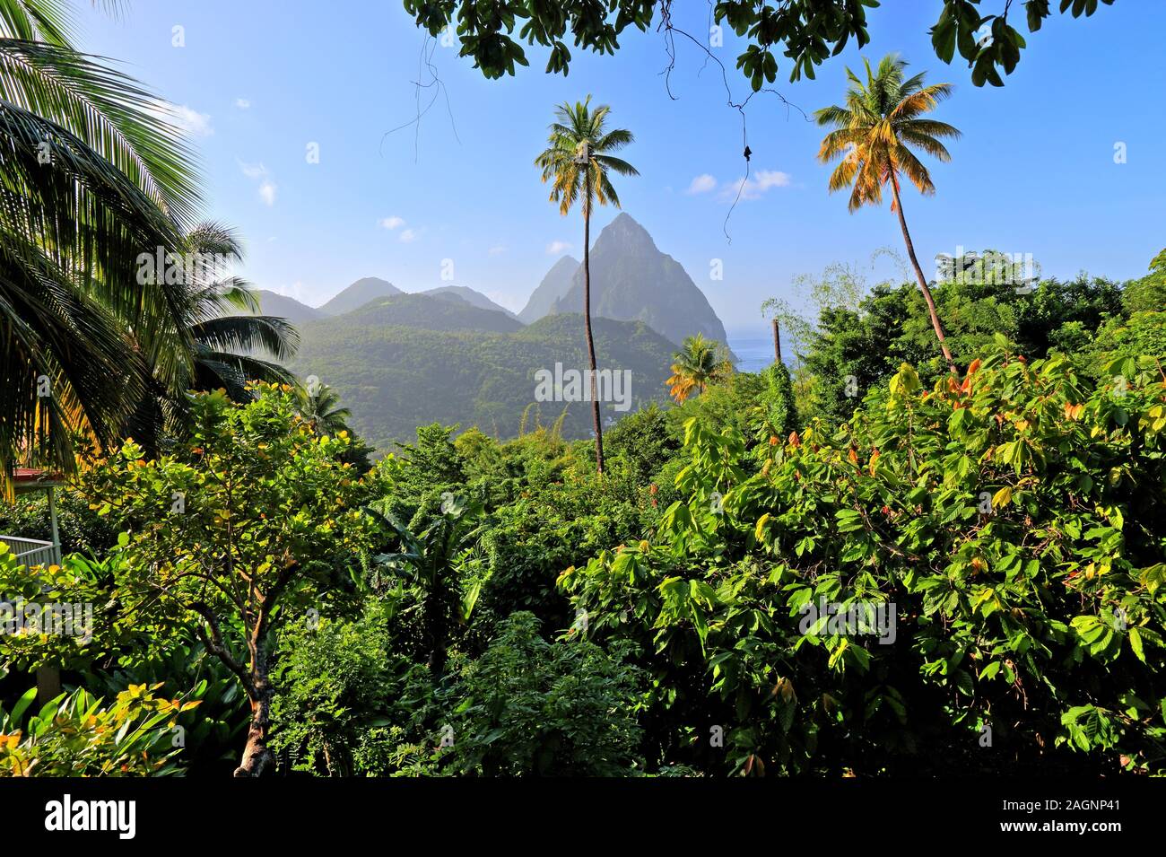Tropical landscape with the two Pitons, Gros Piton 770m and Petit Piton
