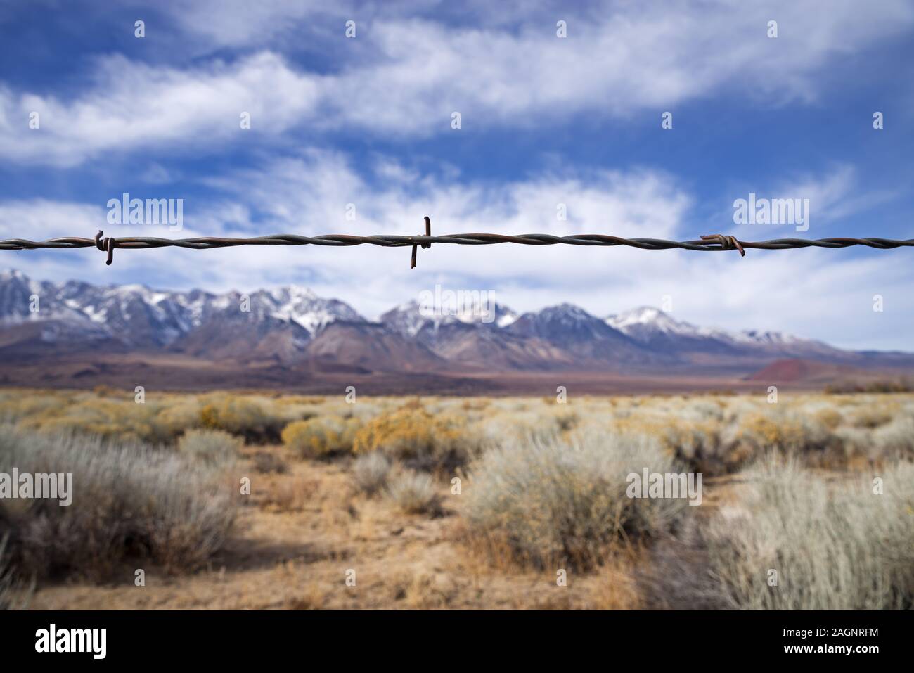 detail of barb wire fence strand with selective focus and mountains in the background Stock Photo