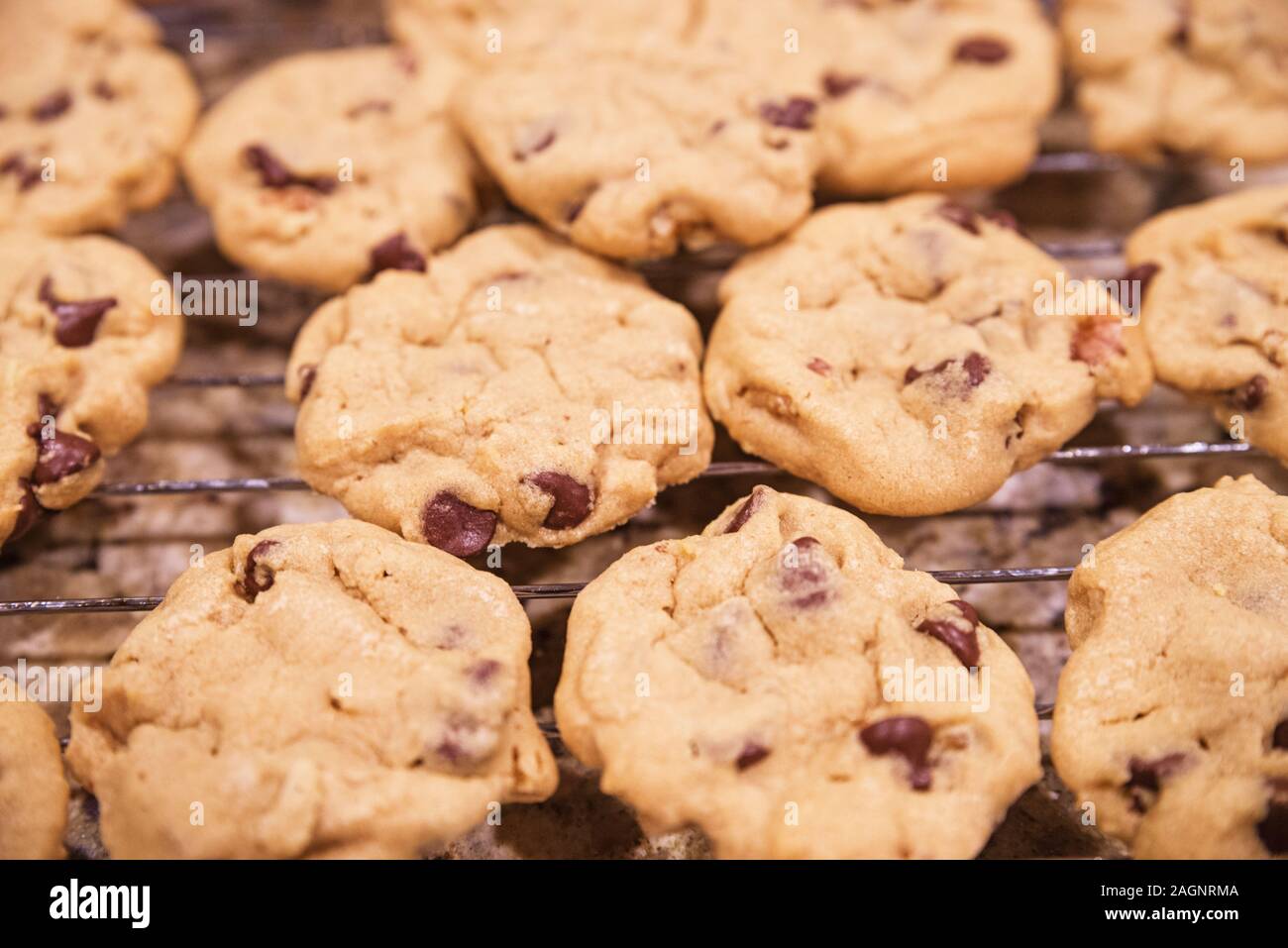 homemade chocolate chip cookies cooling on a rack with selective focus Stock Photo