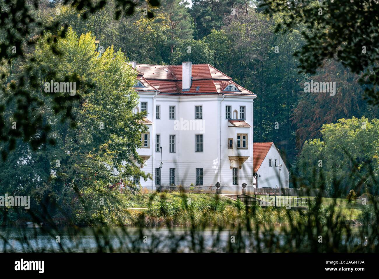 Grunewald forest berlin hires stock photography and images Alamy