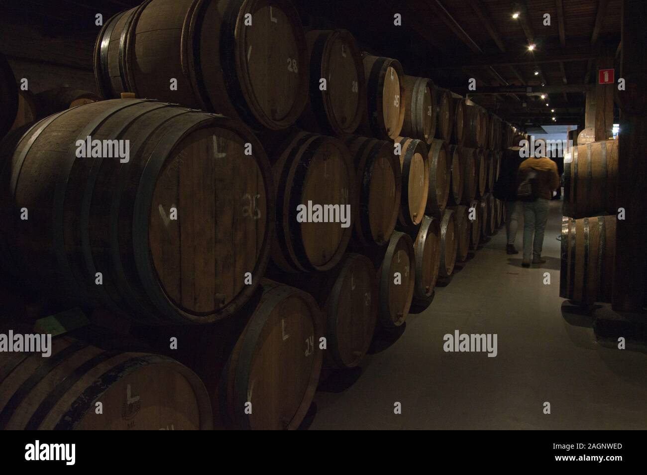 Barrels inside Brasserie Cantillon, Brussels, Belgium Stock Photo Alamy
