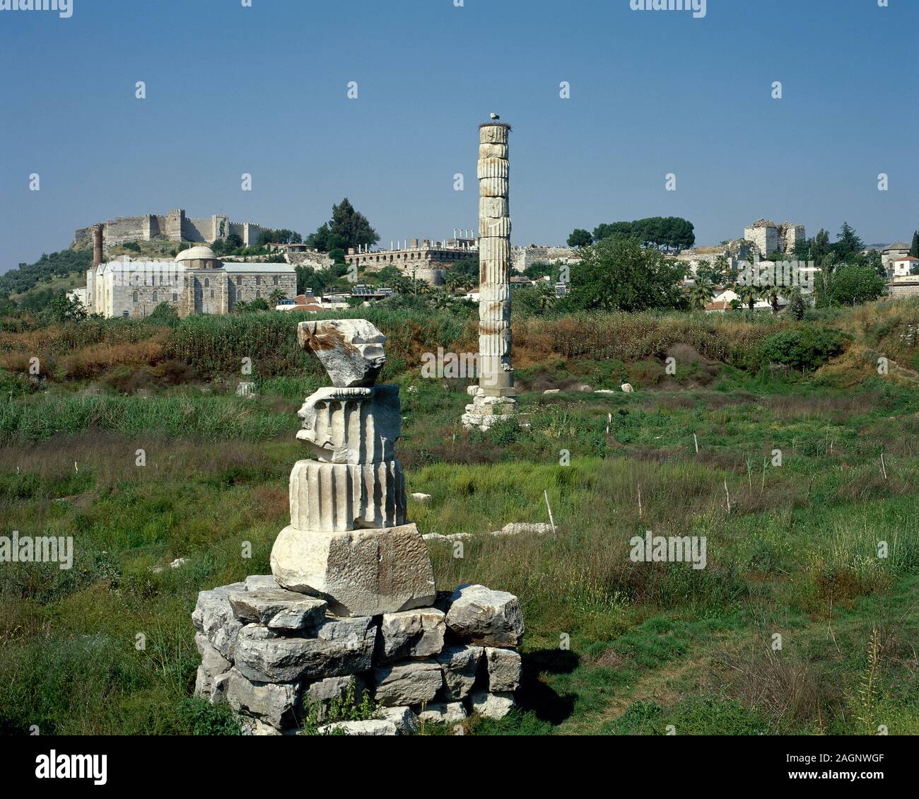 Turkey, Ephesus (modern Selçuk). Temple of Artemis or Artemision. Greek temple. One of The Seven Wonders of the Ancient World. Remains of the colossal column. In the background Isa Bey Mosque and the Byzantine Castle. Stock Photo