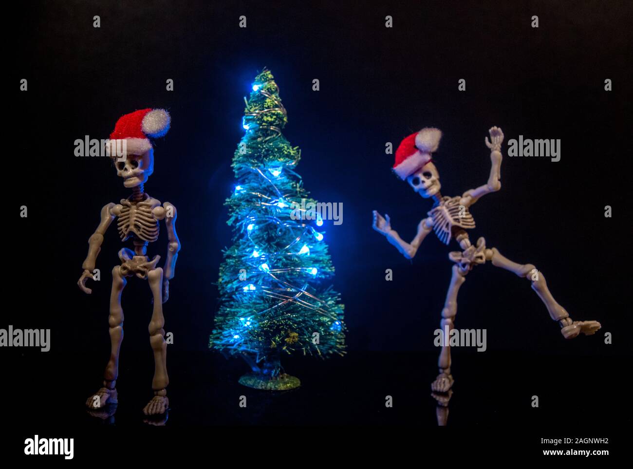 dancing christmas lights