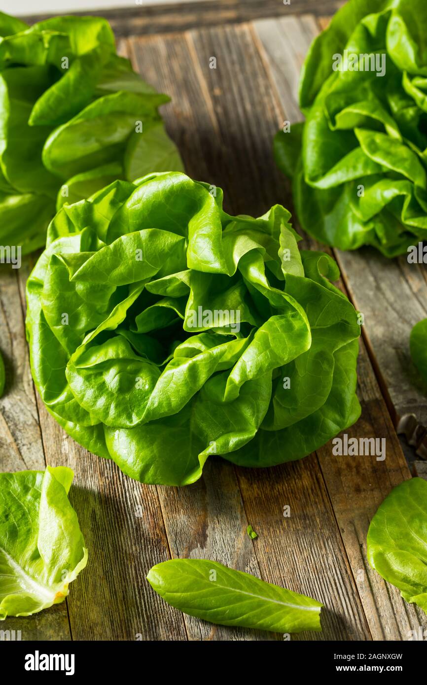 Organic Boston Butter Lettuce at Whole Foods Market