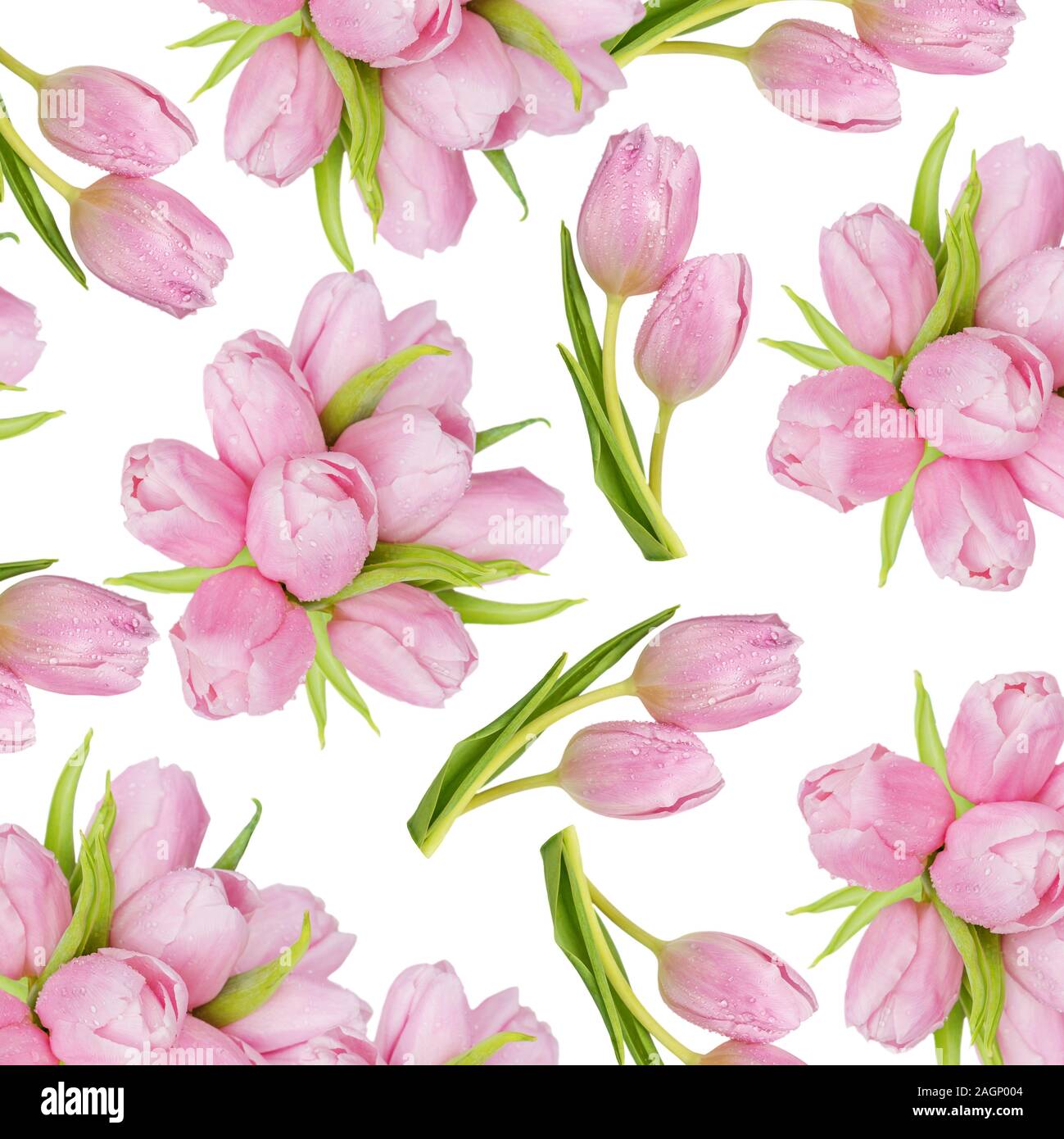Bouquet of pink tulips flowers isolated on white background as a ...