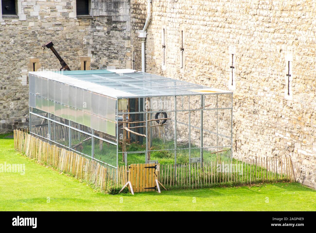 Image showcasing Large bird cage hi-res stock photography and images - Alamy