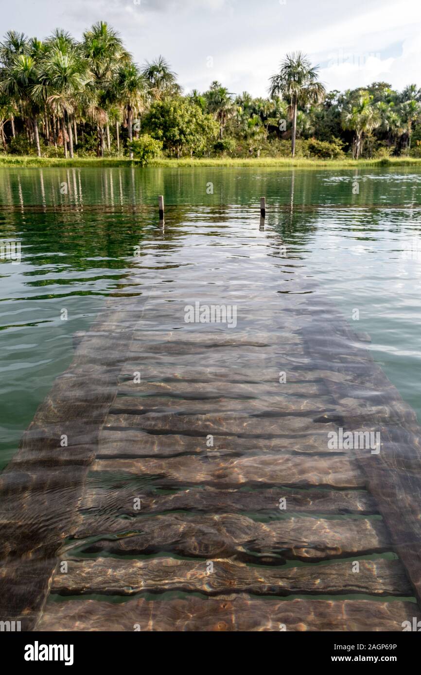 lake in the deep interior of the Brazilian Amazon in the city of Rio Branco  in the state of Acre Brazil Stock Photo - Alamy