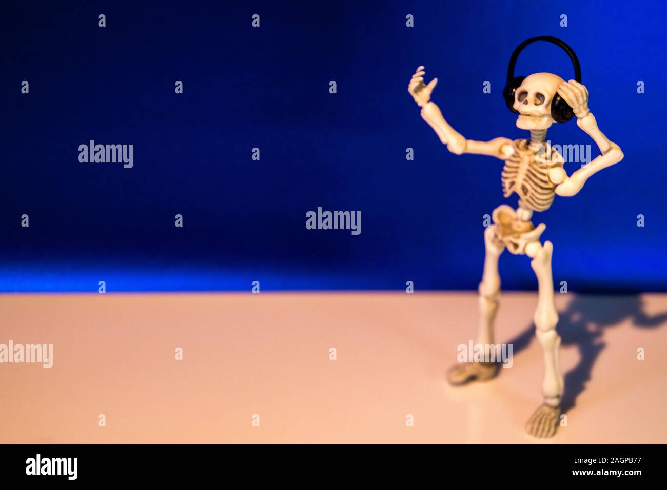 A skeleton enjoys listening to his / her music on their headphones. Taken on a blue background. Stock Photo