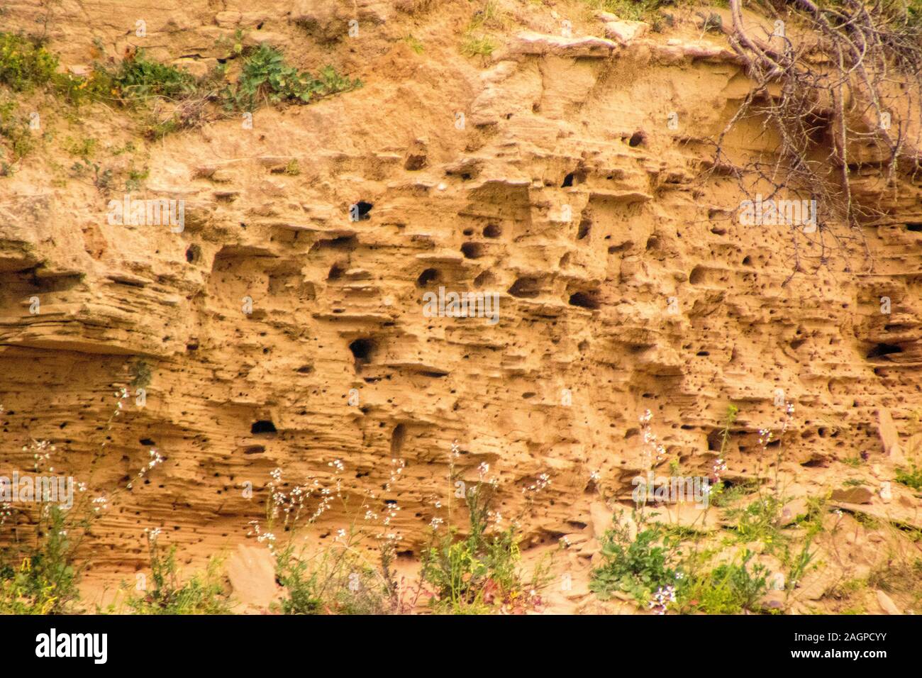 Holes and mound of soil hi-res stock photography and images - Alamy