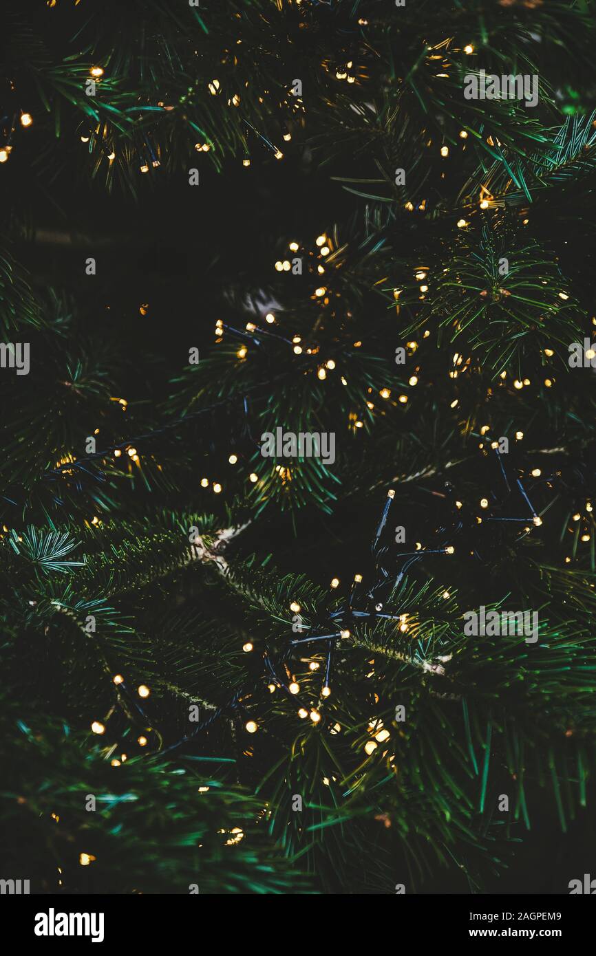 Featured image of post Green Christmas Background Aesthetic Contact aesthetic backgrounds on messenger