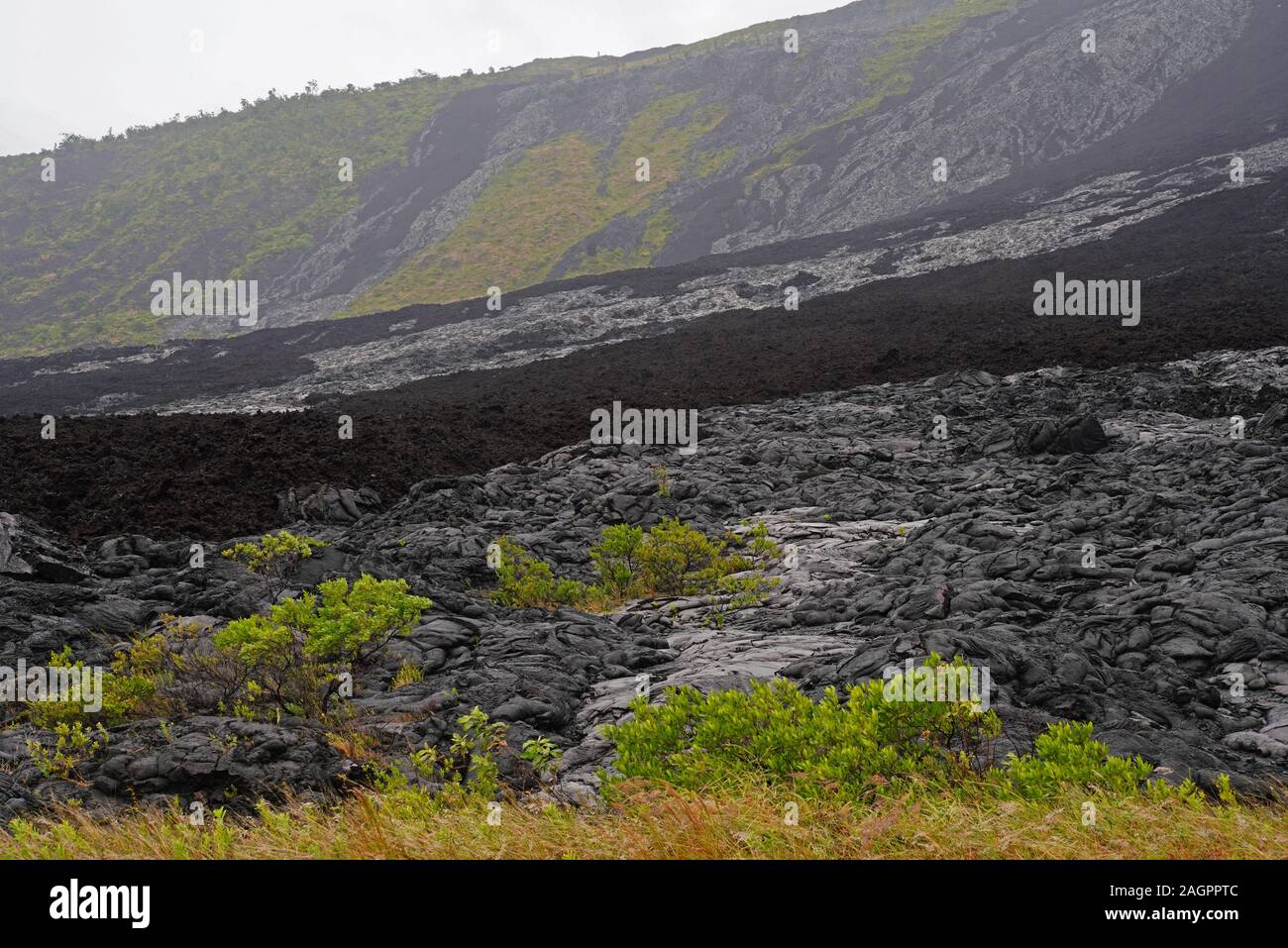 Lava field with recent and older flows from Kilauea active volcano in Volcanoes National Park, Big Island of Hawai'i. Stock Photo