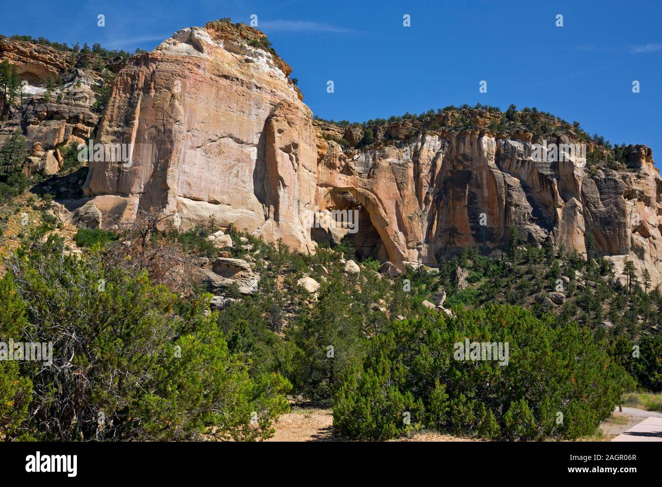 NM00207-00...NEW MEXICO - La Ventana, an arch in the El Malpain National Conservation Area located along an alternate route in the Great Divide Mounta Stock Photo