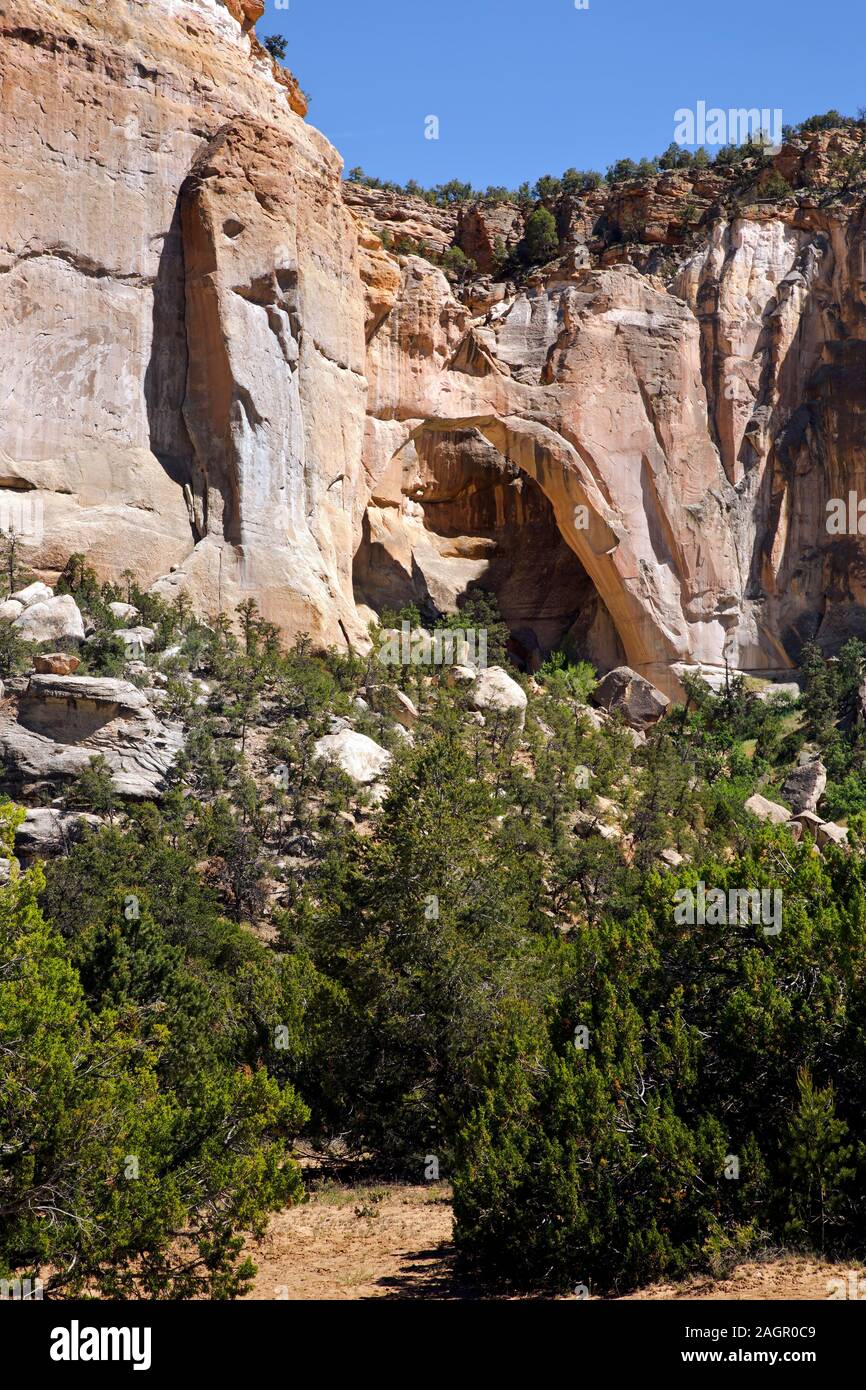 NM00208-00...NEW MEXICO - La Ventana, an arch in the El Malpain National Conservation Area located along an alternate route in the Great Divide Mounta Stock Photo