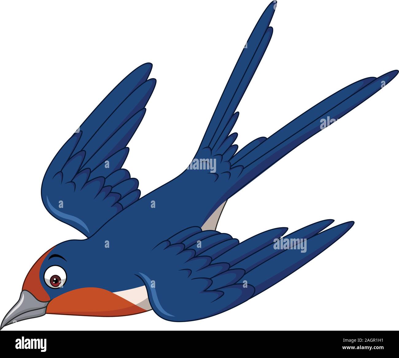 Cartoon swallow bird flying Stock Vector Image & Art Alamy