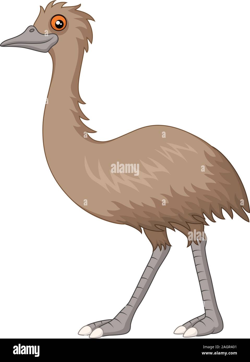 cartoon emu isolated on white background Stock Vector Image & Art - Alamy