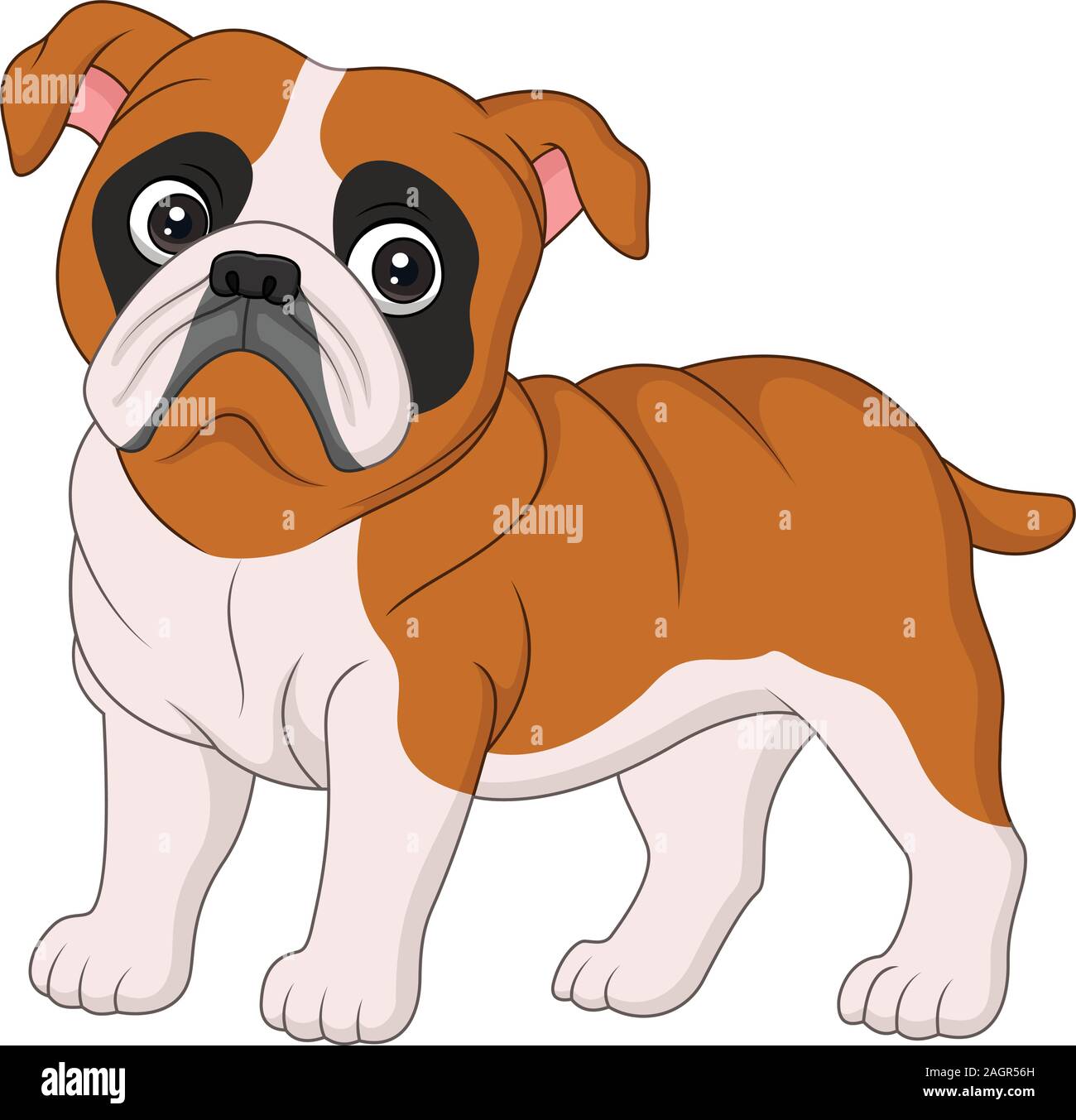 Cartoon bulldog hi-res stock photography and images - Page 2 - Alamy, image size:1300x1353