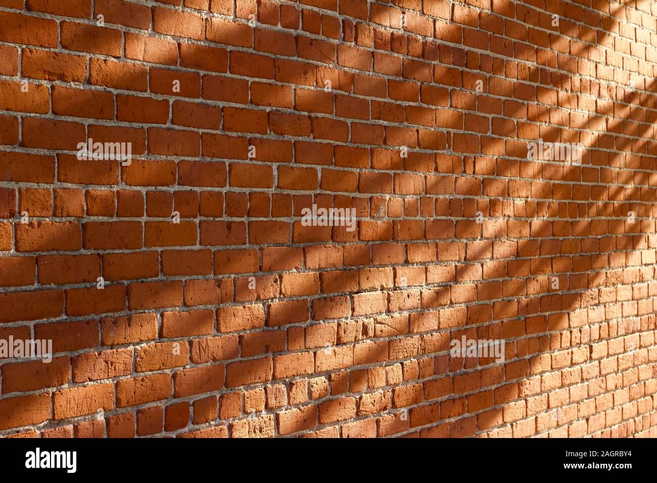 Shabby chic old rugged clay brick wall texture background (angle view) with tree shadows cast from low angle sunlight Stock Photo