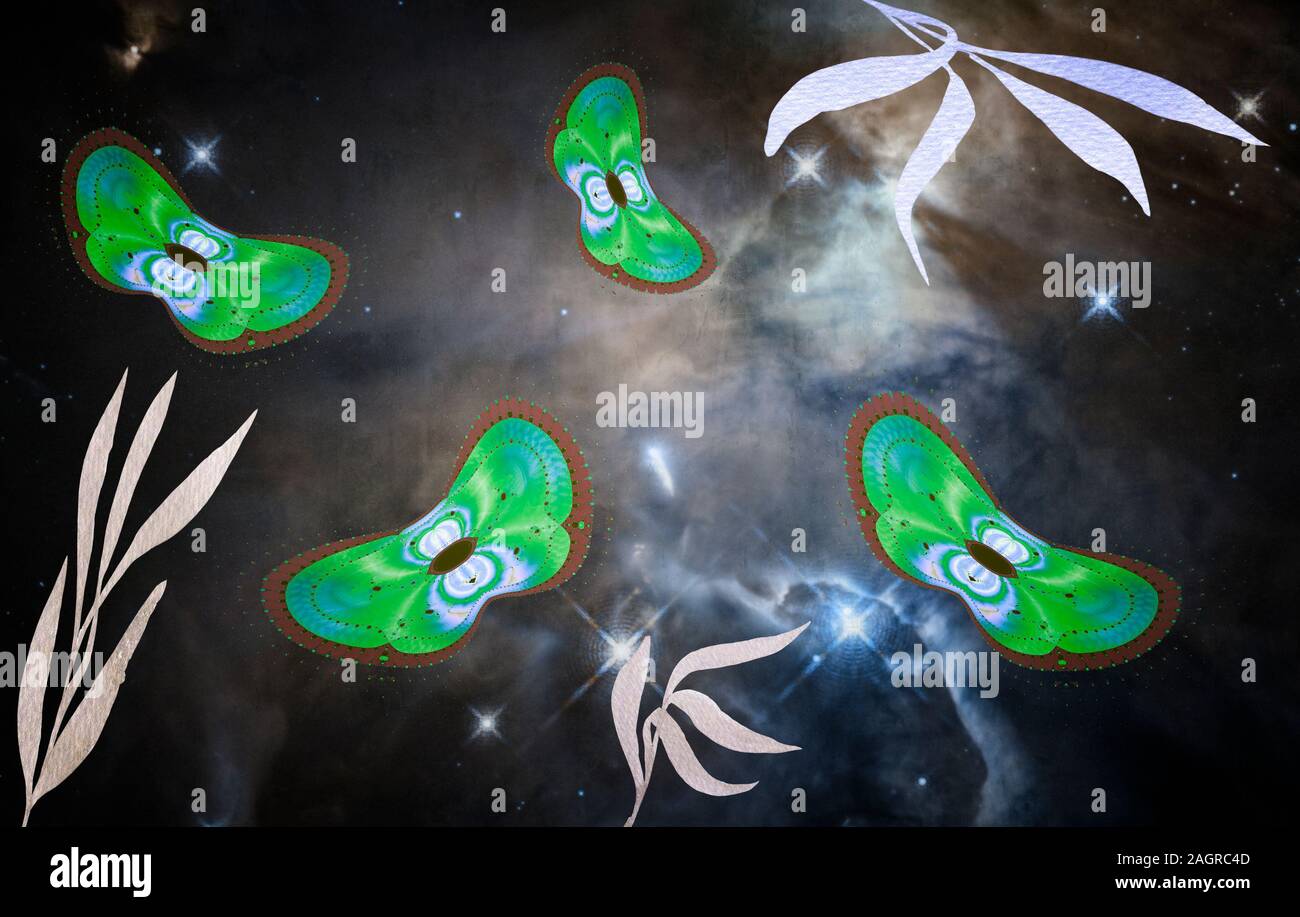 Abstract image of moths on a dark background. Stock Photo