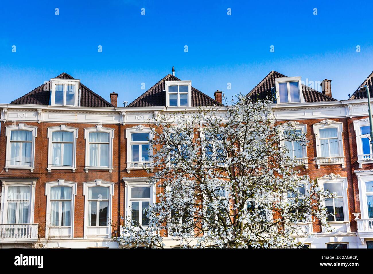 Den haag white house hi-res stock photography and images - Alamy