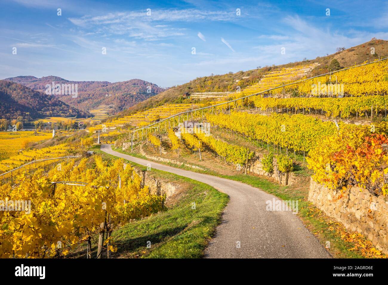 Way through the vinyards near Durnstein in Wachau valley, Austria Stock Photo