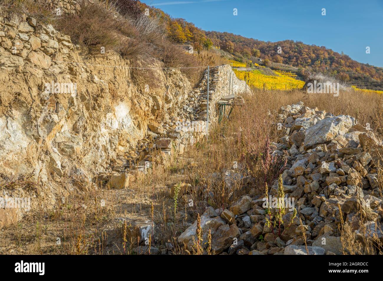 Traditional stonewall in the vinyards near Durnstein is being built up, Wachau, Austria Stock Photo