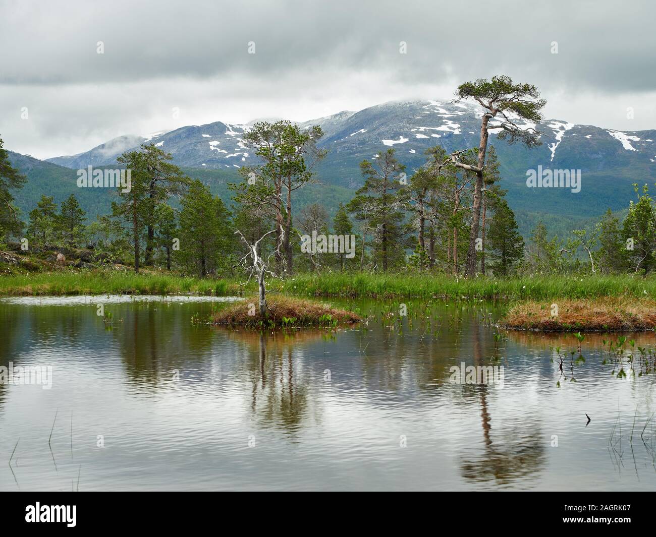 Lake ånderdalen national park senja hi-res stock photography and images -  Alamy