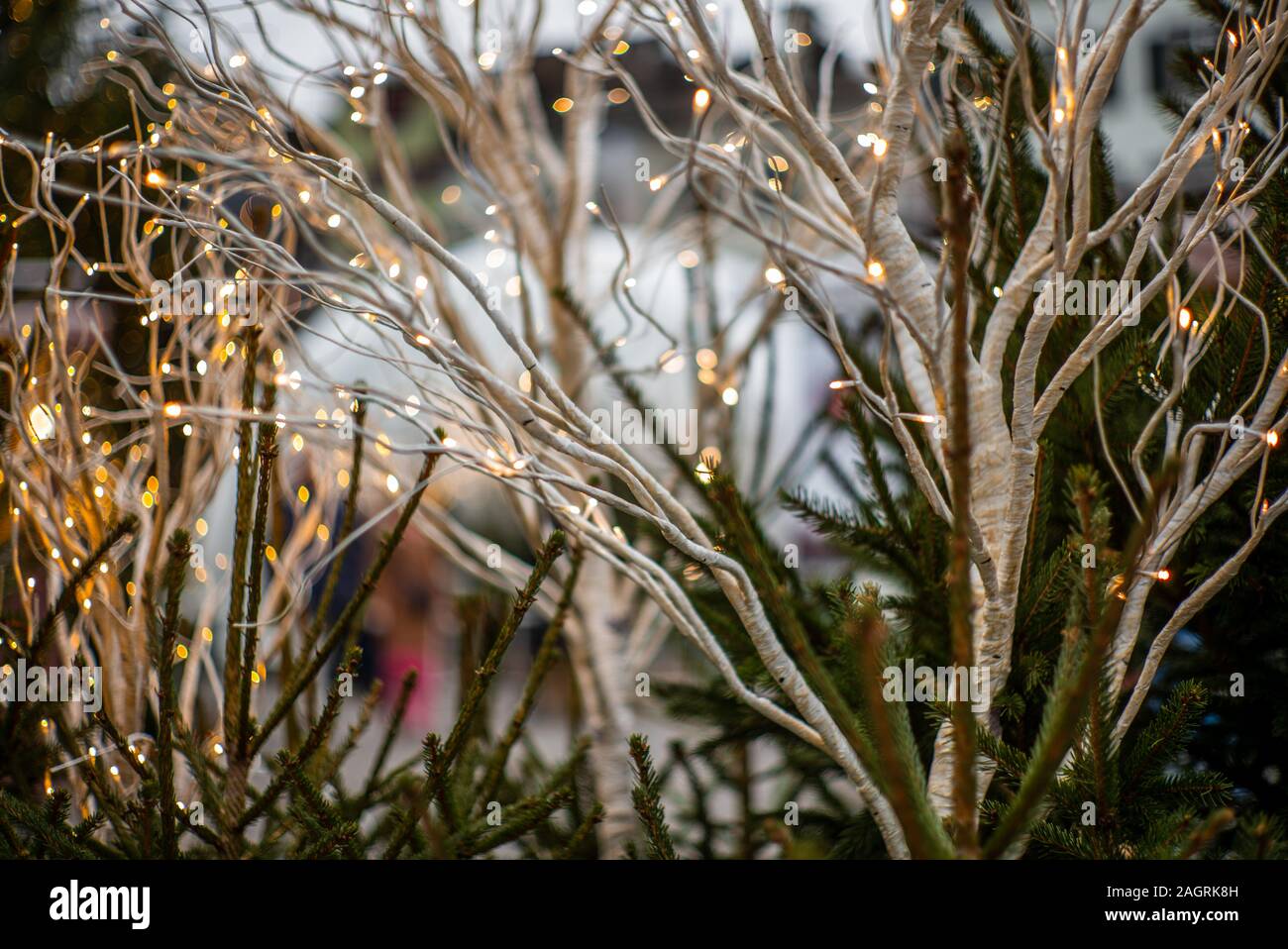 Closeup of Christmas lights on a Christmas tree in Zurich 3 Stock