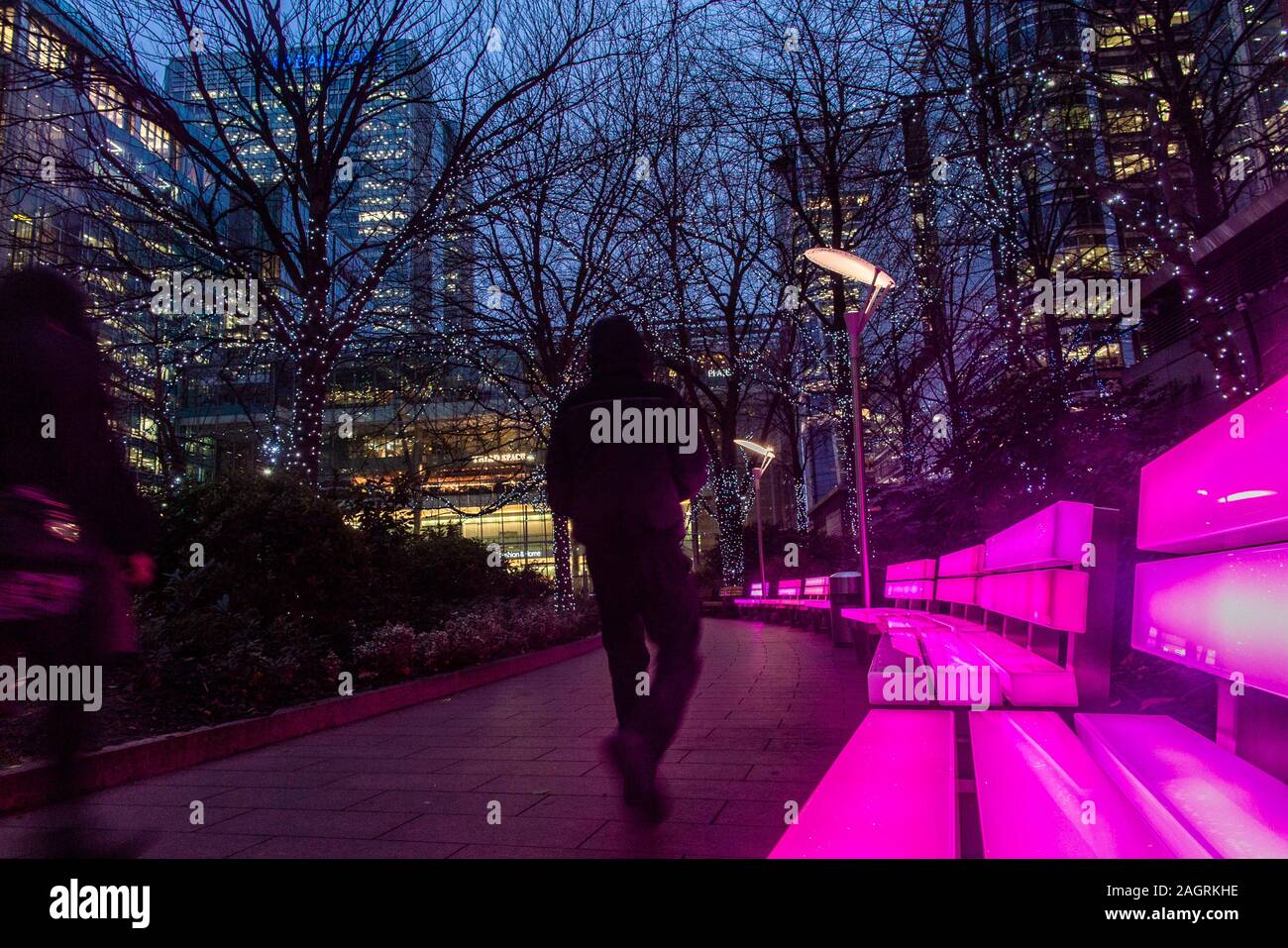 Pink illuminated benches and tree lights at Christmas in Canary Wharf