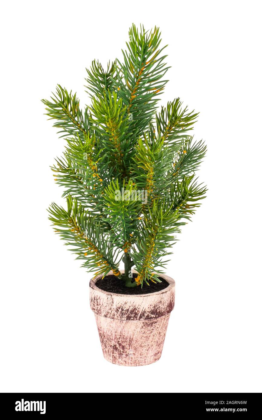 Small decorative Christmas tree in a ceramic pot Stock Photo