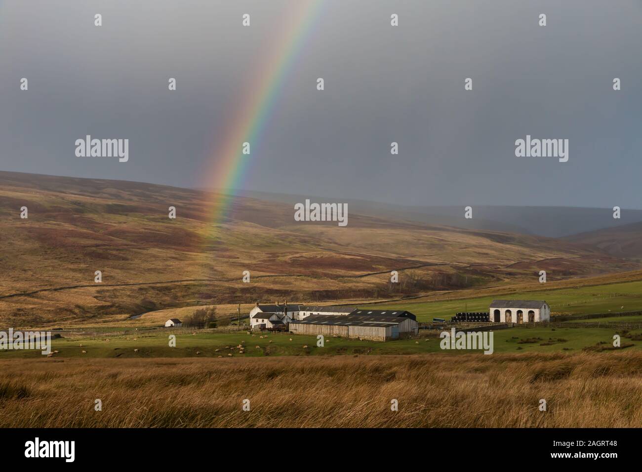Vivid Rainbow at Middle End Farm, Teesdale after Storm Atiyah 8 Dec 2019 Stock Photo