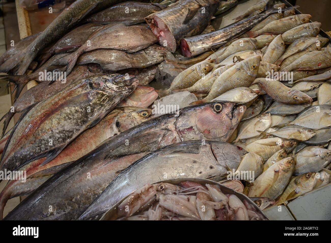 Where can i buy fresh fish near me