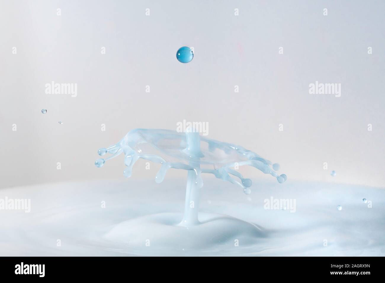 A macro photo of two drops of blue food coloring colliding in a pool of